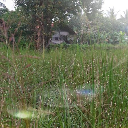 Lake Cabin Polonnaruwa Exterior photo