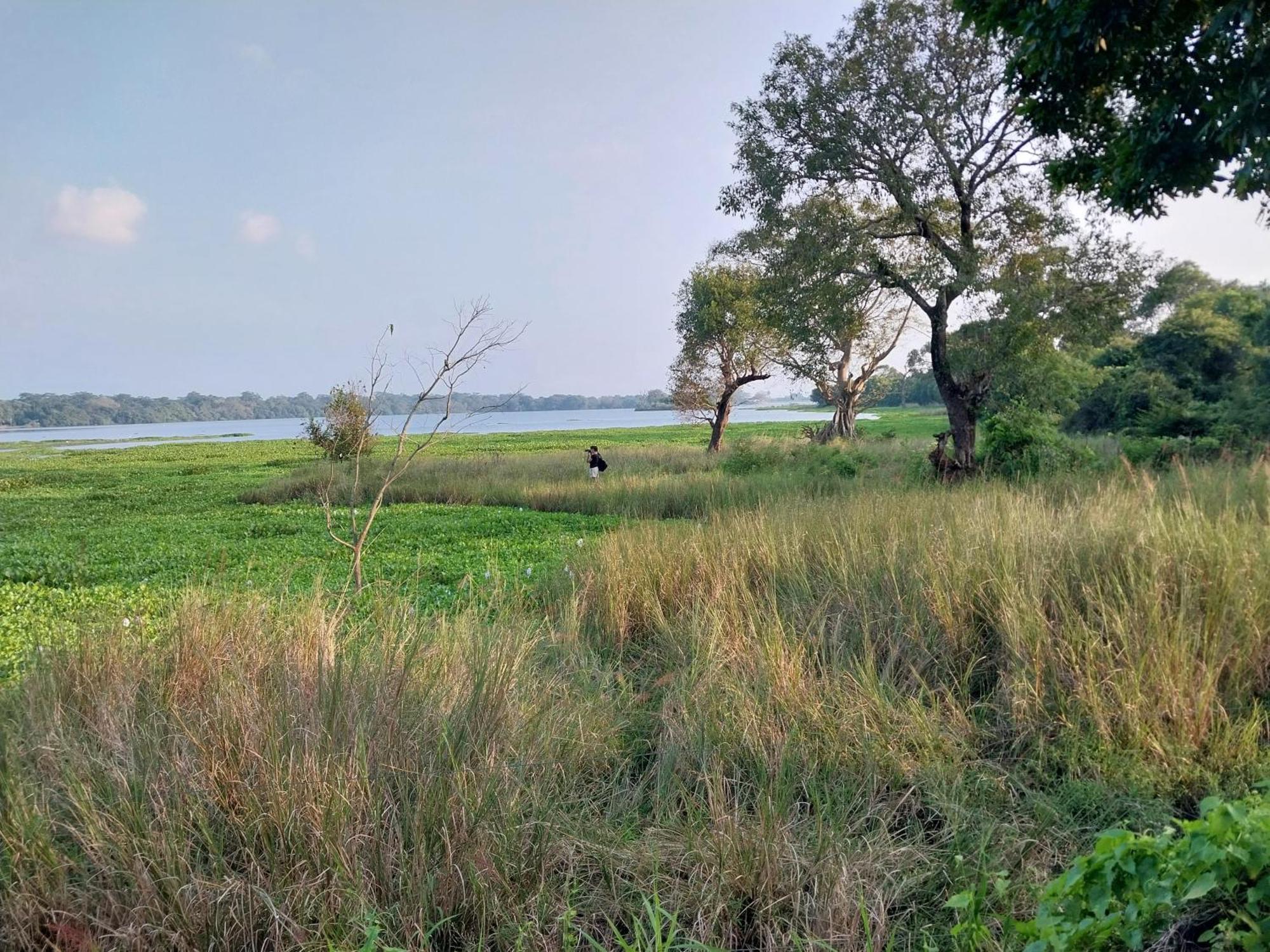 Lake Cabin Polonnaruwa Exterior photo