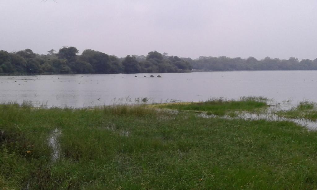 Lake Cabin Polonnaruwa Exterior photo