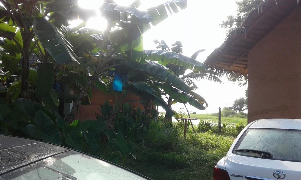 Lake Cabin Polonnaruwa Exterior photo