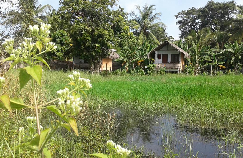 Lake Cabin Polonnaruwa Exterior photo